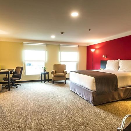 Urban Green Hotel & Suites サンホセ エクステリア 写真