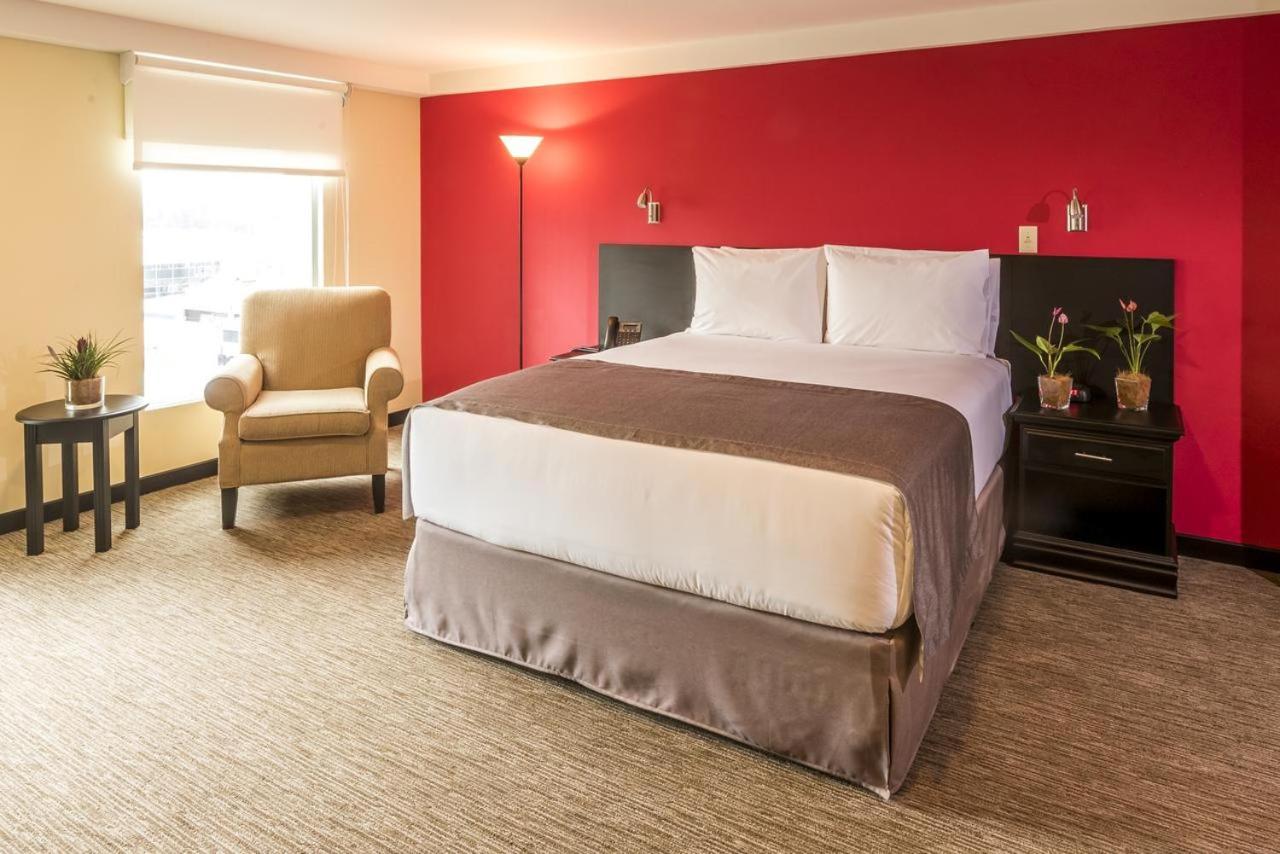 Urban Green Hotel & Suites サンホセ エクステリア 写真