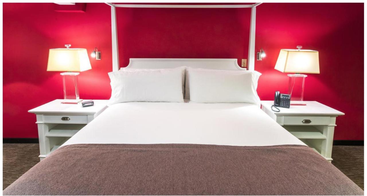 Urban Green Hotel & Suites サンホセ エクステリア 写真