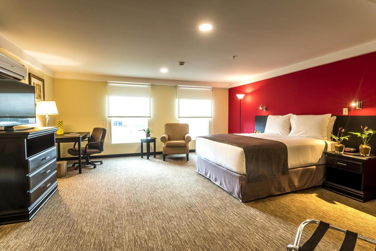 Urban Green Hotel & Suites サンホセ エクステリア 写真