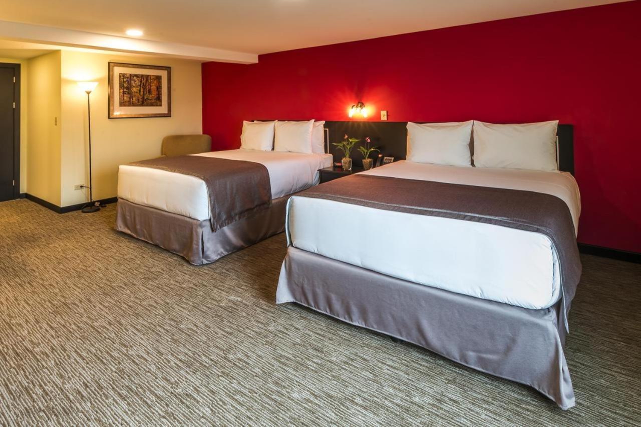 Urban Green Hotel & Suites サンホセ エクステリア 写真
