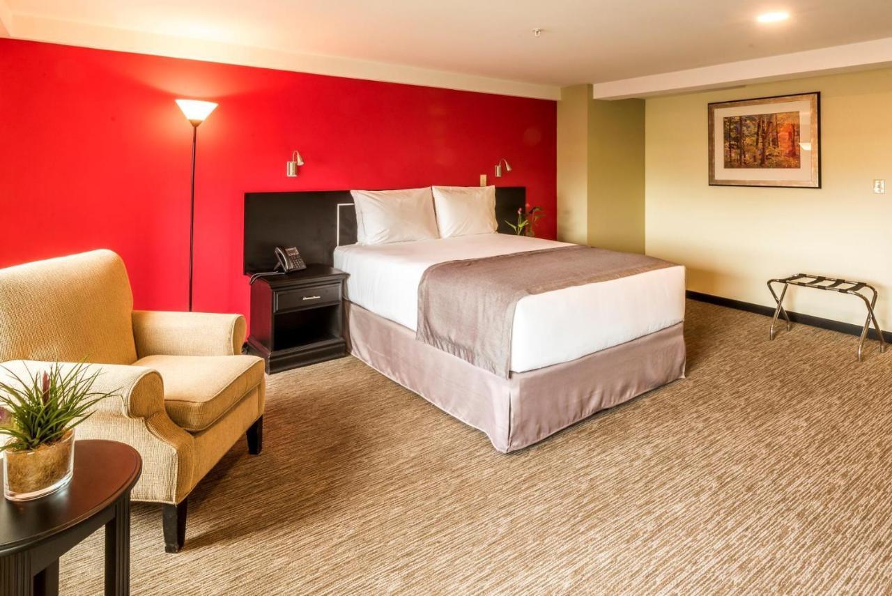 Urban Green Hotel & Suites サンホセ エクステリア 写真